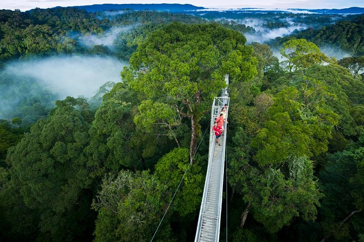 Canopy walkway view from the highest tower